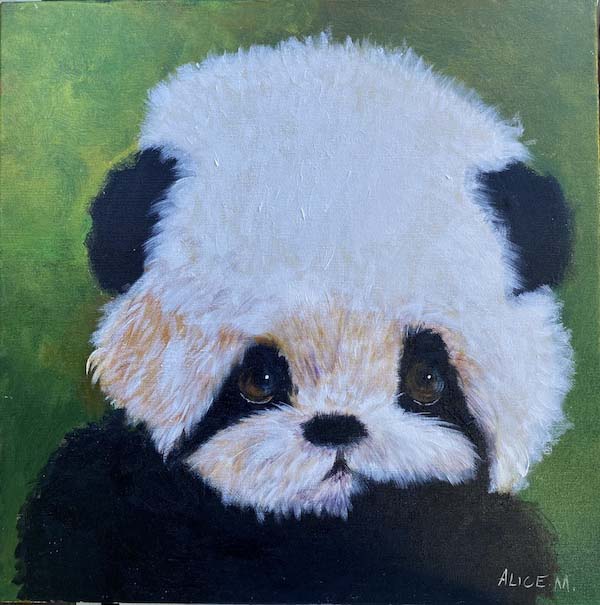 Panda - 40 x 40 - Ast